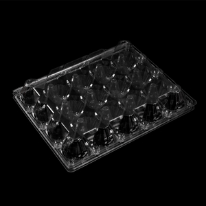 HSQY 20-count Clear Plastic Egg Cartons