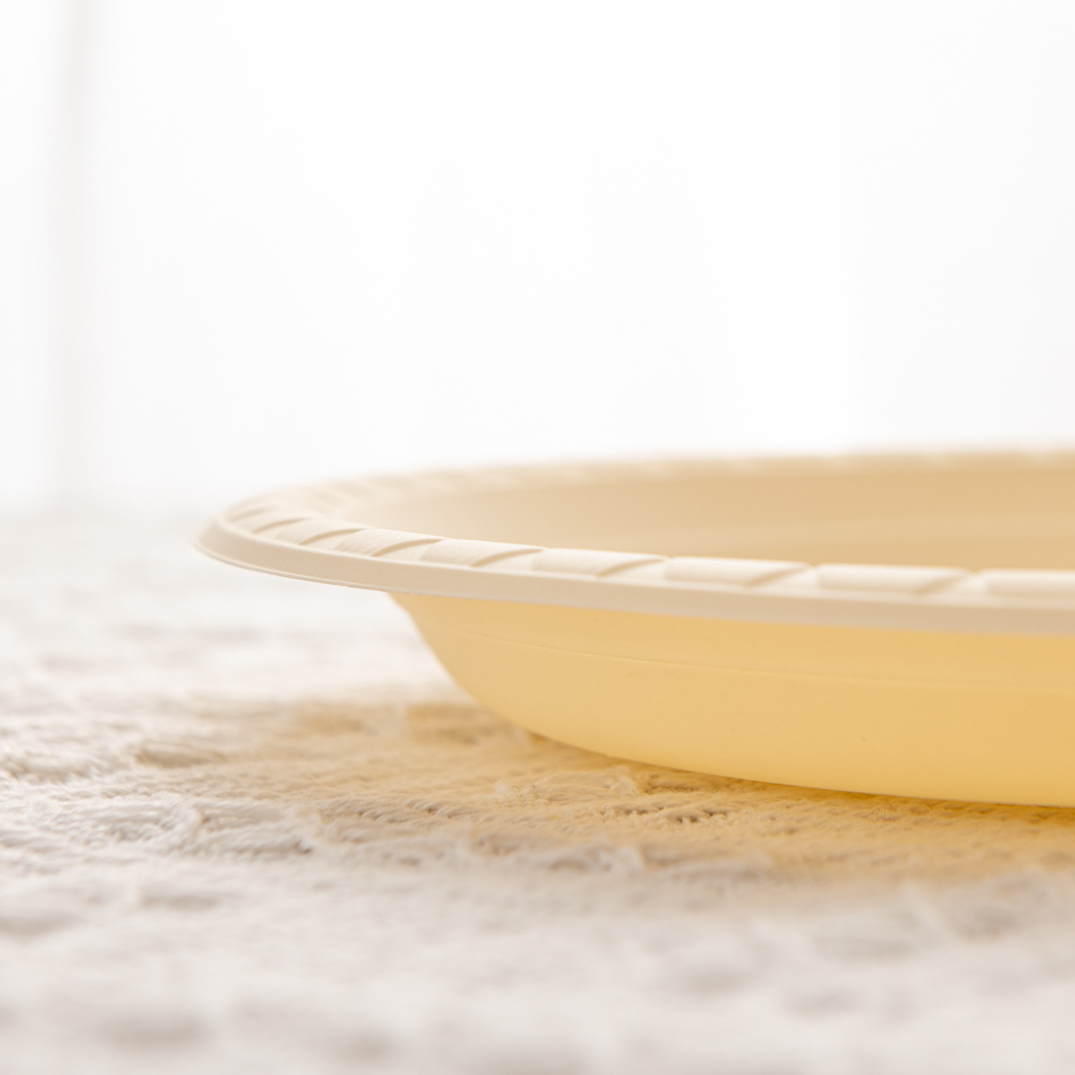 Disposable Cornstarch Plates, 6