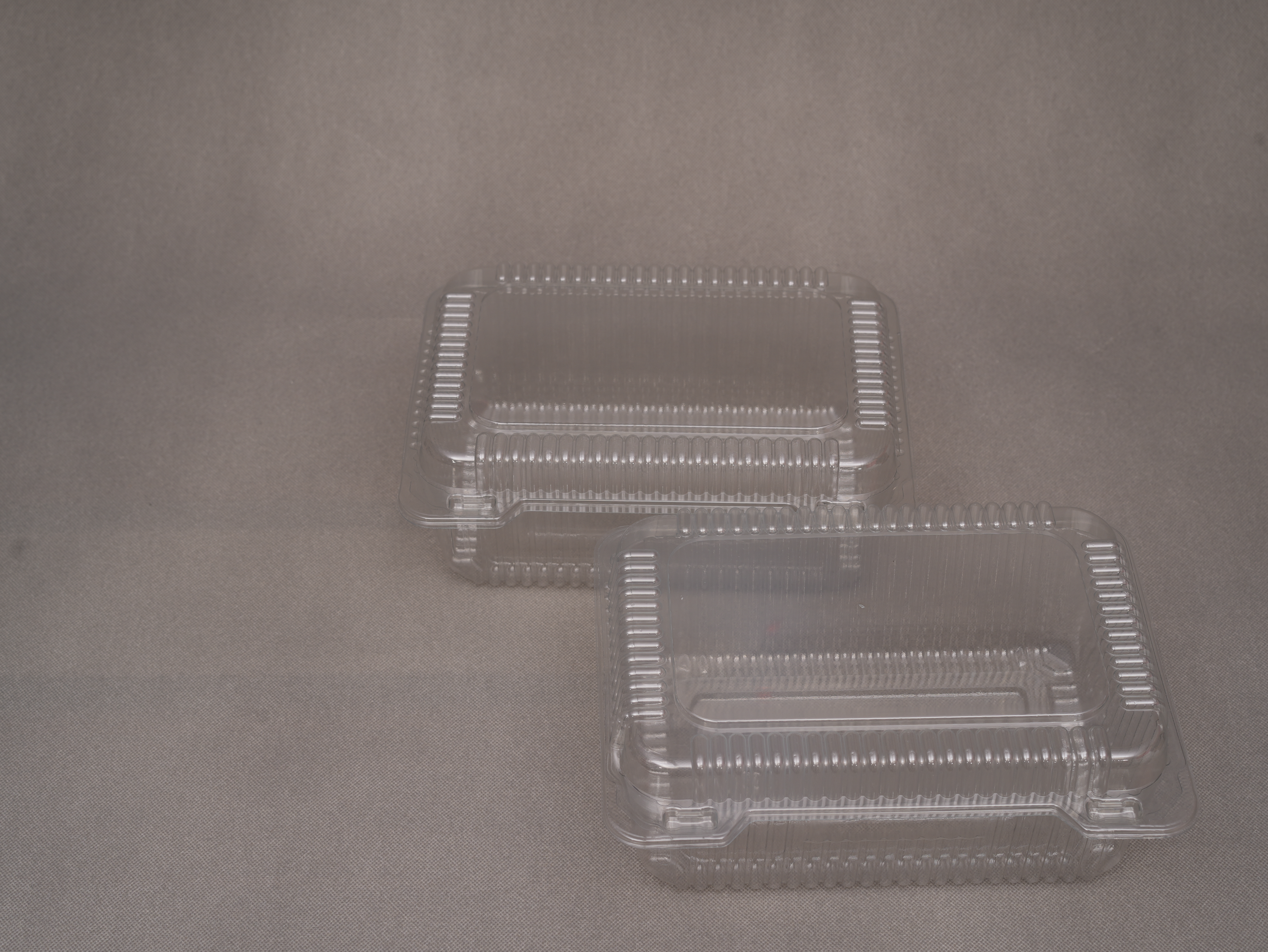 HSQY 9.84x6.69 Inch Disposable Rectangle PET Meat Plastic Tray