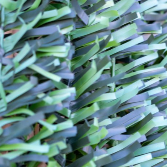 微信图片_20251011150310_13_15