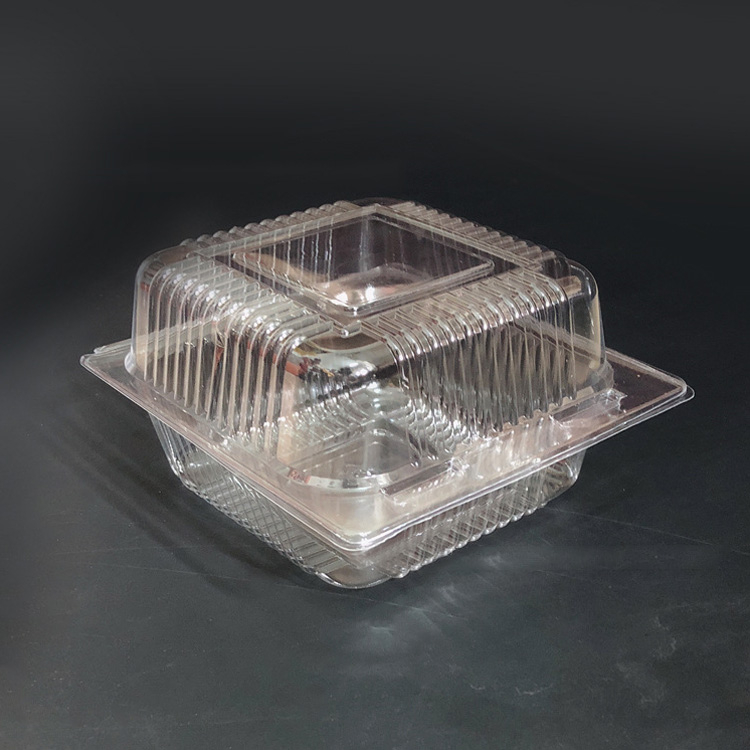 5.3 x 4.8 x 2.8 inch Clear Hinged PS Container