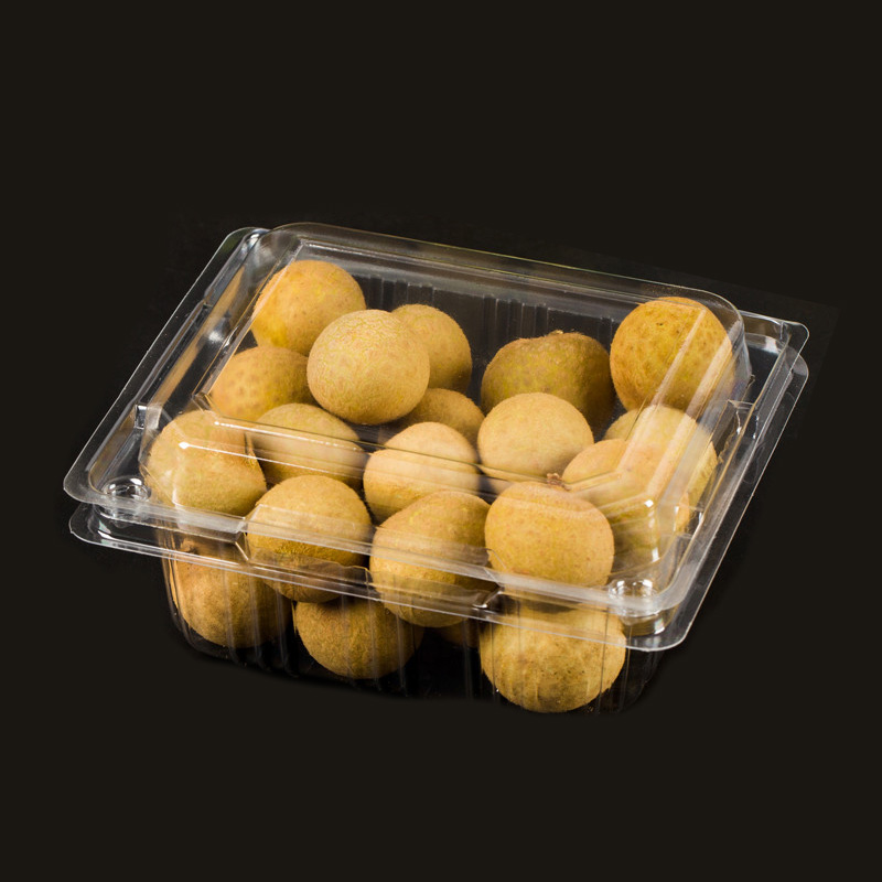 Longan1