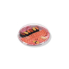 HSQY 10 x 1.18 Inch Round Sushi Party Tray Container hamwe na Lid
