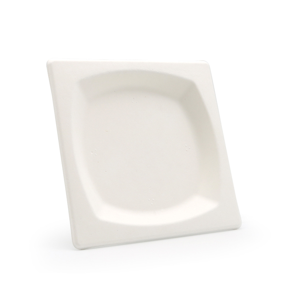 Amapuleti aCompostable Alahlwayo, 6' 8' 10' I-Bagasse Pulp Square Plate, Amapuleti Esidlo Sakusihlwa Angaboli