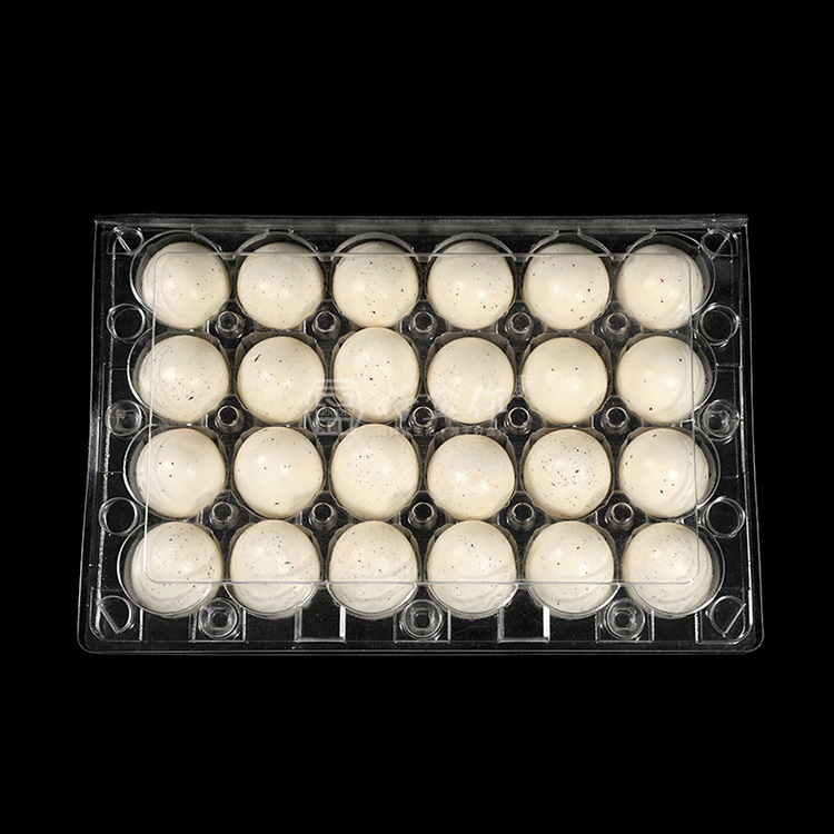HSQY 4 6 8 9 10 Count Clear Plastic Duck Egg Cartons Box