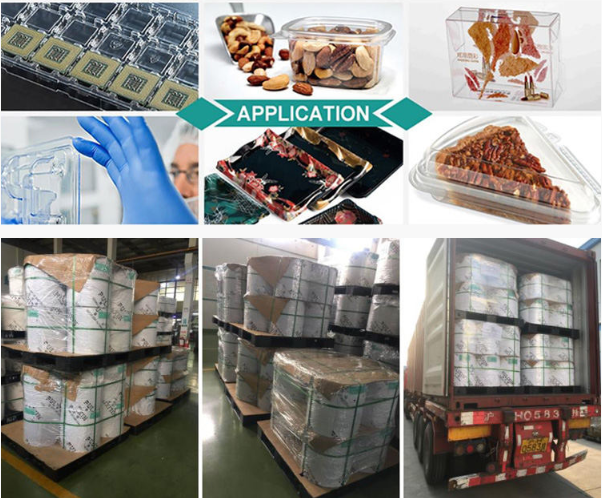 Black ESD HIPS Sheet for Electronic Packaging