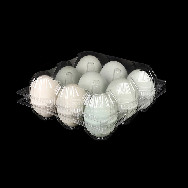 HSQY 4 6 8 9 10 Count Clear Plastic Duck Egg Cartons Box