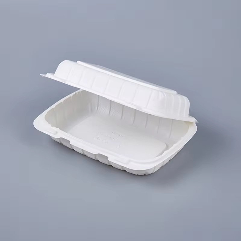 Disposable PP Lunch Box for Takeout