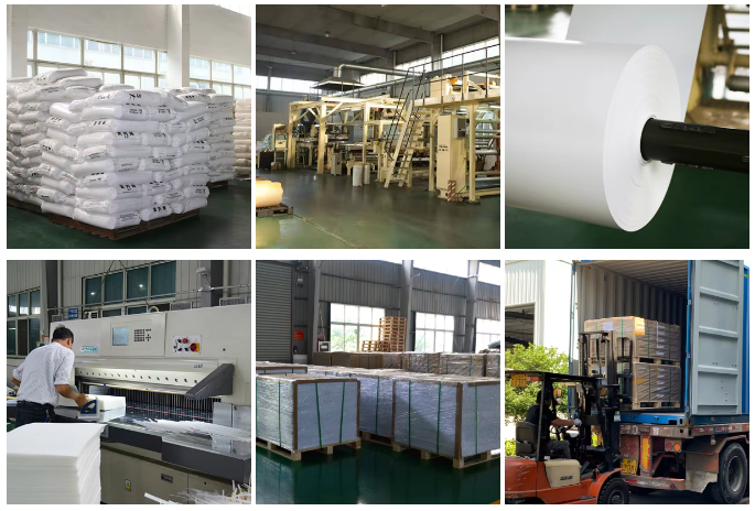 White PP Sheet Packaging