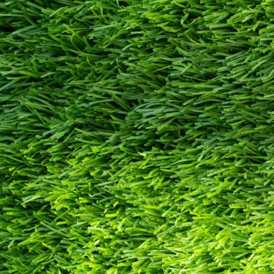 微信图片_20251011171212_44_15