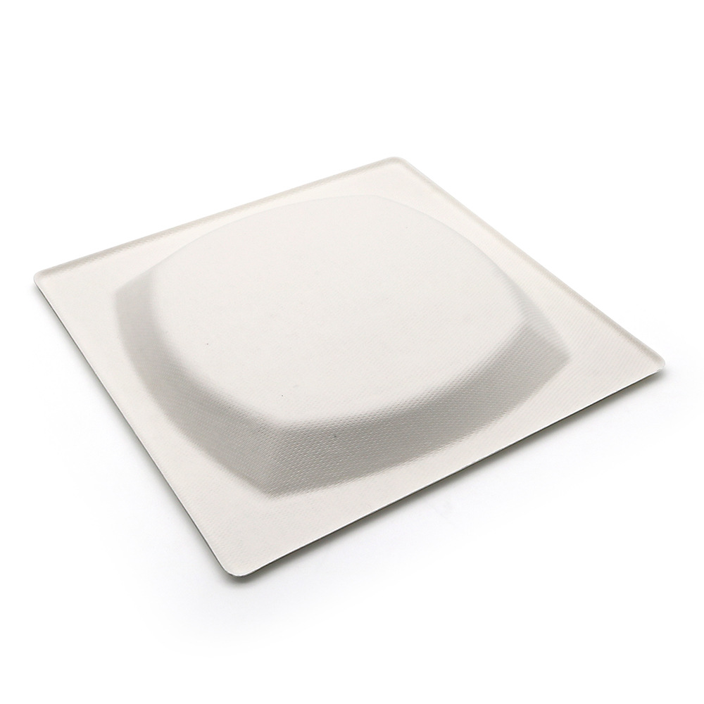 Amapuleti aCompostable Alahlwayo, 6' 8' 10' I-Bagasse Pulp Square Plate, Amapuleti Esidlo Sakusihlwa Angaboli