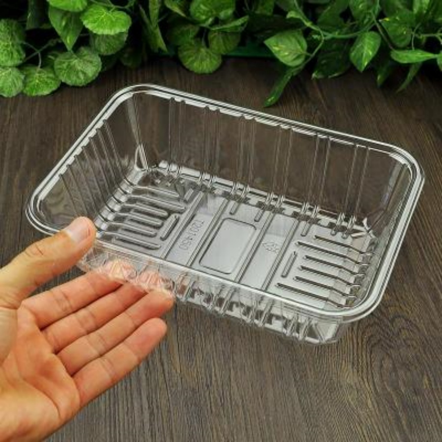 HSQY Disposable Clear PET Plastic Fruit Tray 