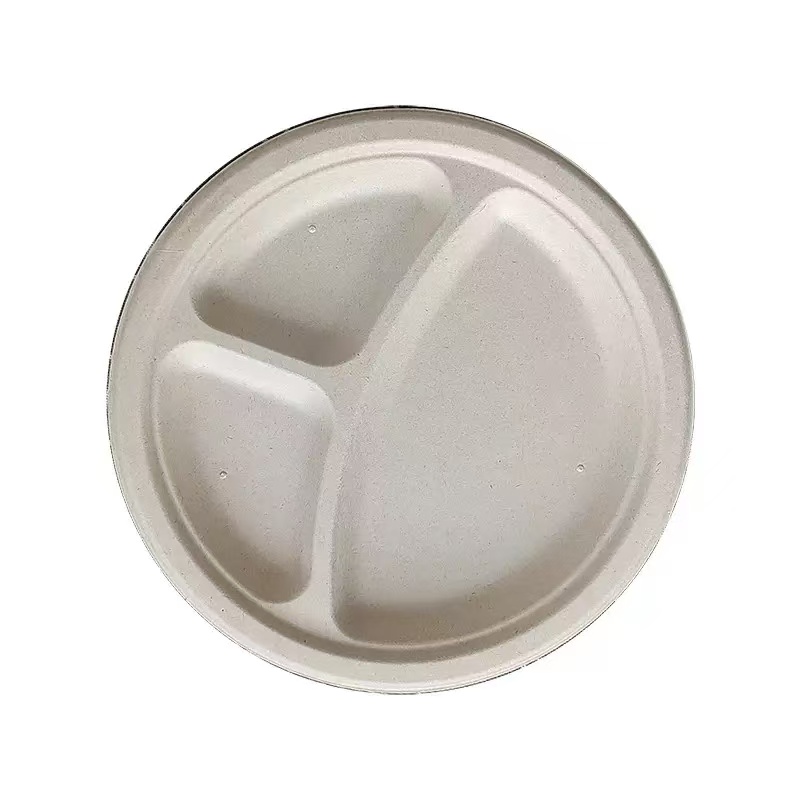 HSQY 10 Inch Disposable Round White Polypropylene Plastic Plate
