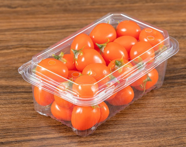 HSQY 6.7 X 6.7 X 3.5 Inch Clear PET Plastic Square Fruit Clamshells Container
