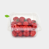 HSQY 9.1 X 6.9 X 3.5 Inch Clear PET Plastic Clamshells Fruit Container