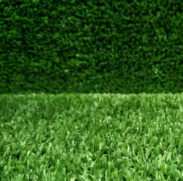 微信图片_20251011153145_21_15