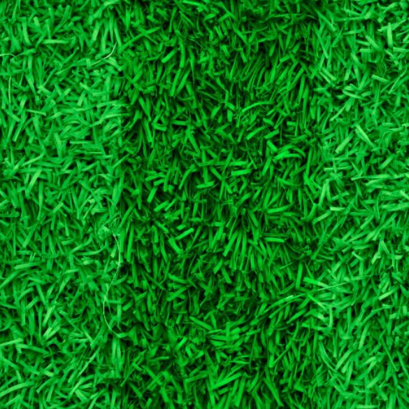 微信图片_20251011164609_32_15