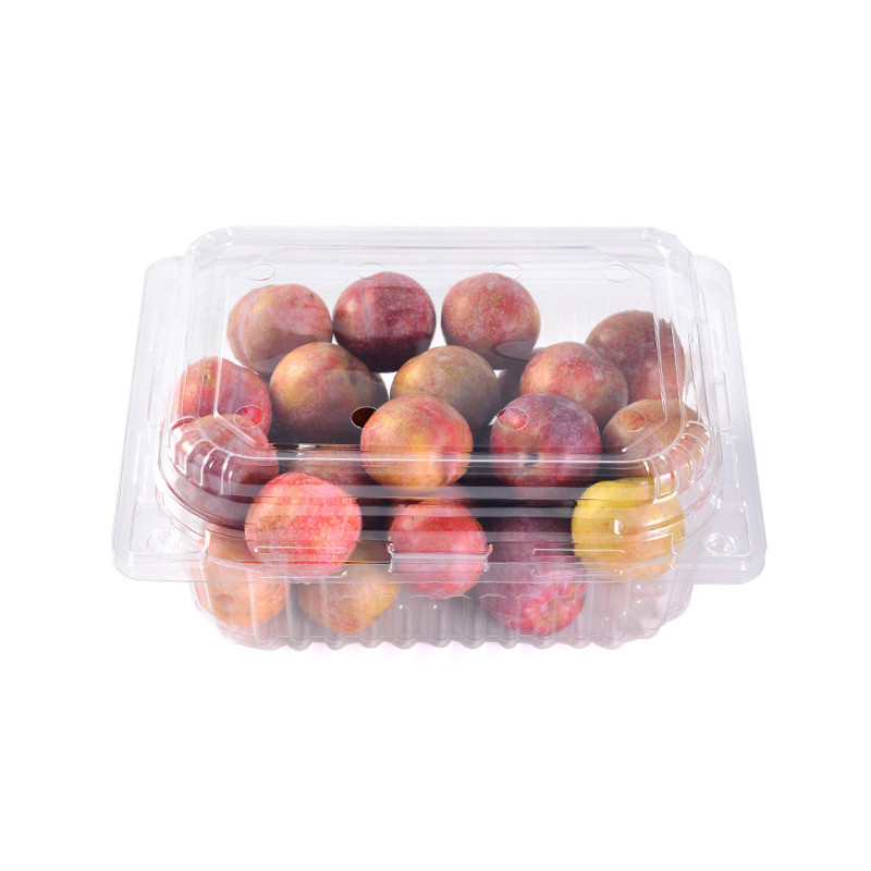 HSQY 6.7 X 6.7 X 3.5 Inch Clear PET Plastic Square Fruit Clamshells Container