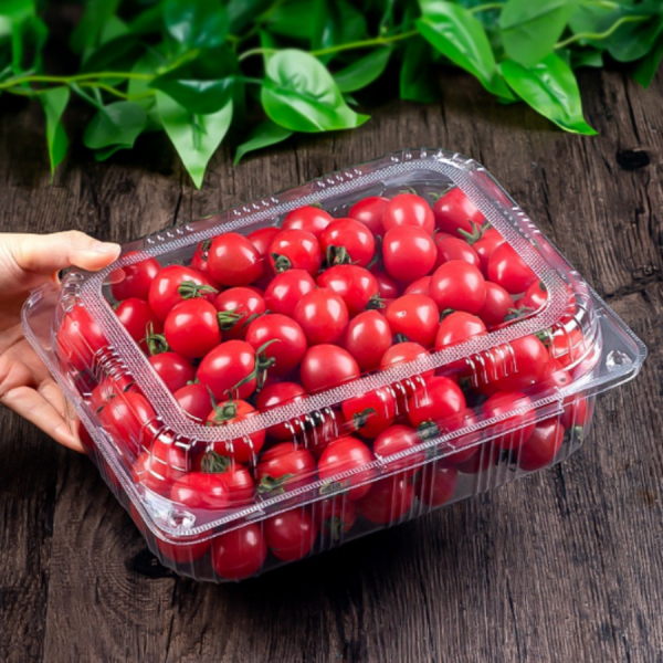 Custom PET Clamshell for Food Safety