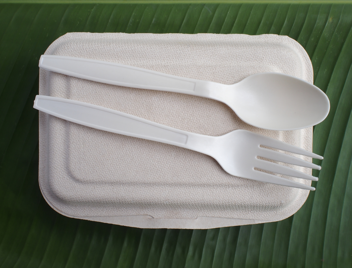 8" 9" Bagasse Clamshell Containers, Take Out Food Boxes, 100% compostable