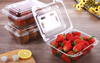 HSQY 4.1 X 4.1 X 1.6 Inch Clear PET Plastic Square Fruit Clamshells Container