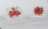 HSQY 6.9 X 5.3 X 2.2 Inch Clear PET Plastic Fruit Clamshells Container