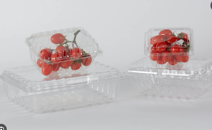 HSQY 6.9 X 5.3 X 2.2 Inch Clear PET Plastic Fruit Clamshells Container