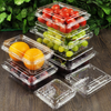 HSQY 6.9 X 5.3 X 2.9 Inch Clear PET Plastic Fruit Clamshells Container
