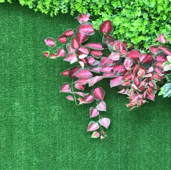 微信图片_20251011163415_30_15