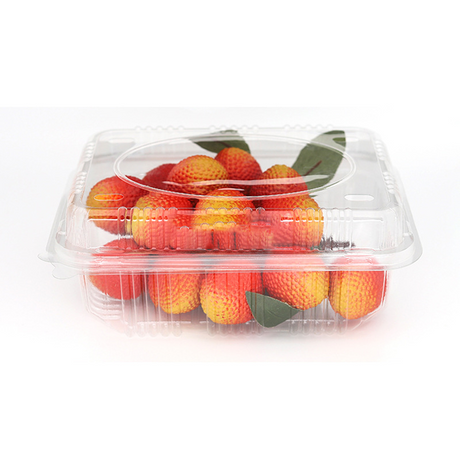 HSQY 6.7 X 6.7 X 3.5 Inch Clear PET Plastic Square Fruit Clamshells Container