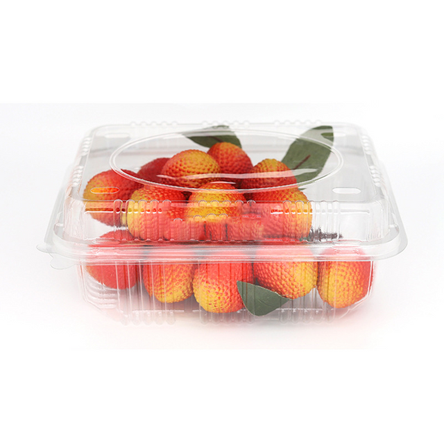 HSQY 6.7 X 6.7 X 3.5 Inch Clear PET Plastic Square Fruit Clamshells Container