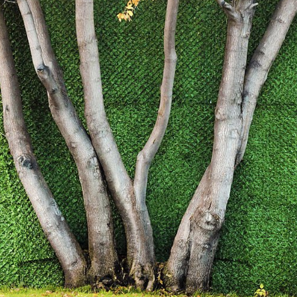 微信图片_20251015102824_60_15