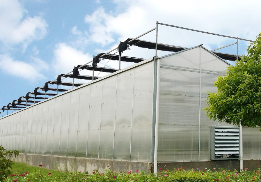 f5f0467d-e80c-4350-a677-d176984c372b