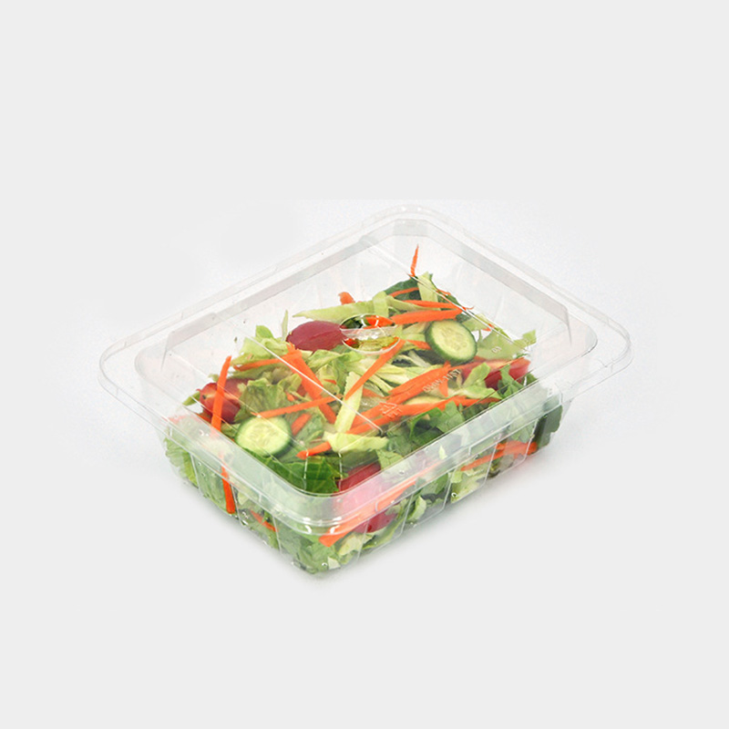 HSQY 9,1 x 7,3 x 2,6 Zoll transparent rechteckeg PET-Plastik-Salatschüsselbehälter mat Deckel