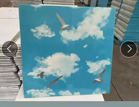 Pvc Gypsum Ceiling Film 