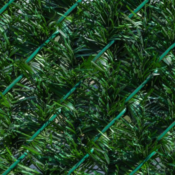 微信图片_20251011171057_43_15