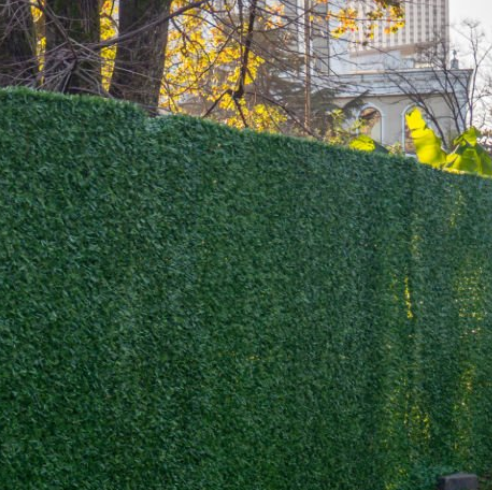 微信图片_20251011165039_34_15