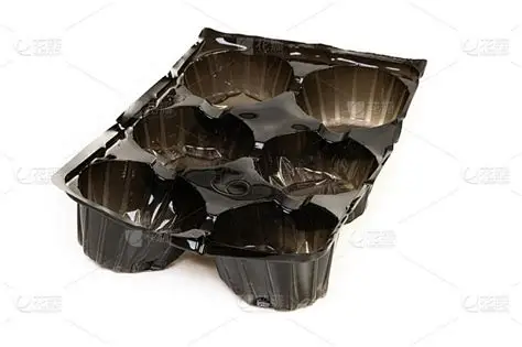 31cf63a3-c494-4809-8889-b993297e8ab8