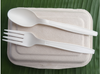8" 9" Bagasse Clamshell Containers, Take Out Food Boxes, 100% compostable