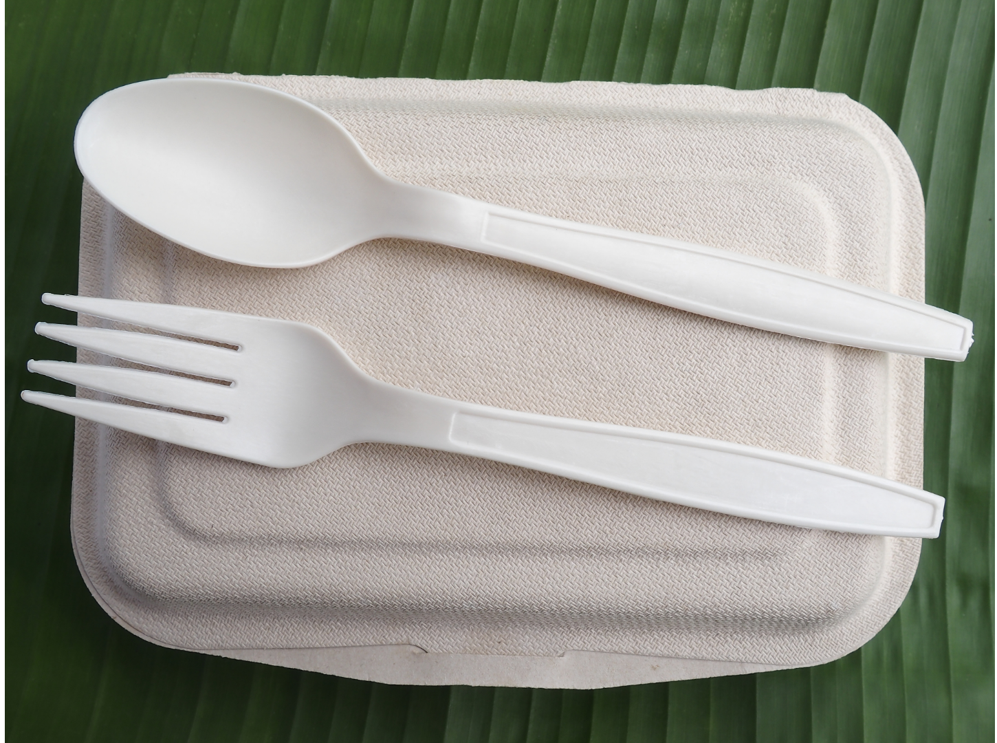8" 9" Bagasse Clamshell Containers, Take Out Food Boxes, 100% compostable