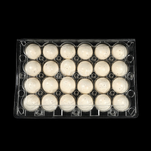 10-count Clear Plastic Egg Cartons