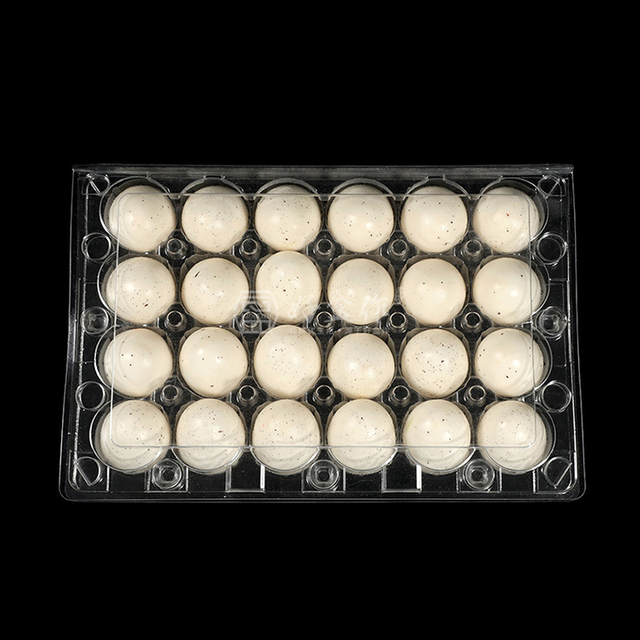 10-count Clear Plastic Egg Cartons