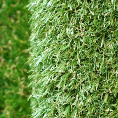 微信图片_20251011150608_15_15