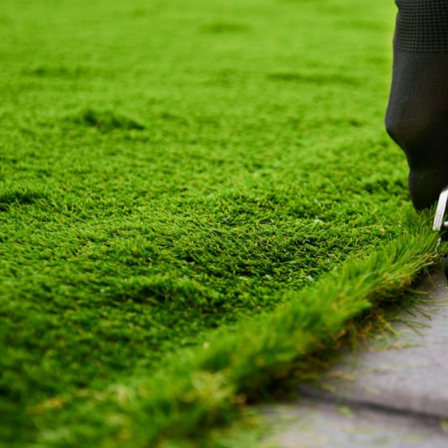 微信图片_20251011172535_56_15