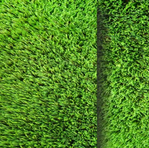 微信图片_20251011170116_36_15