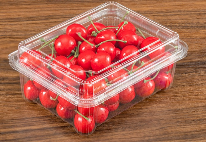 HSQY 9.6 X 6.7 X 2.1 Inch Clear PET Plastic Fruit Clamshells Container