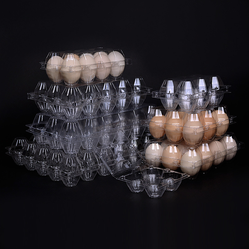 HSQY 8-count Clear Plastic Egg Cartons