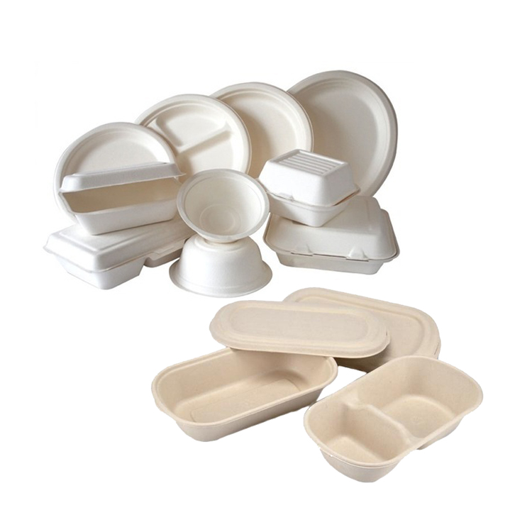 9"x6"x3" Bagasse Clamshell Containers, Take Out Food Boxes, 100% compostable