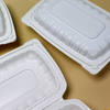 HSQY 9 x 9 x 3" White Polypropylene Plastic Hinged Lid Takeout Container
