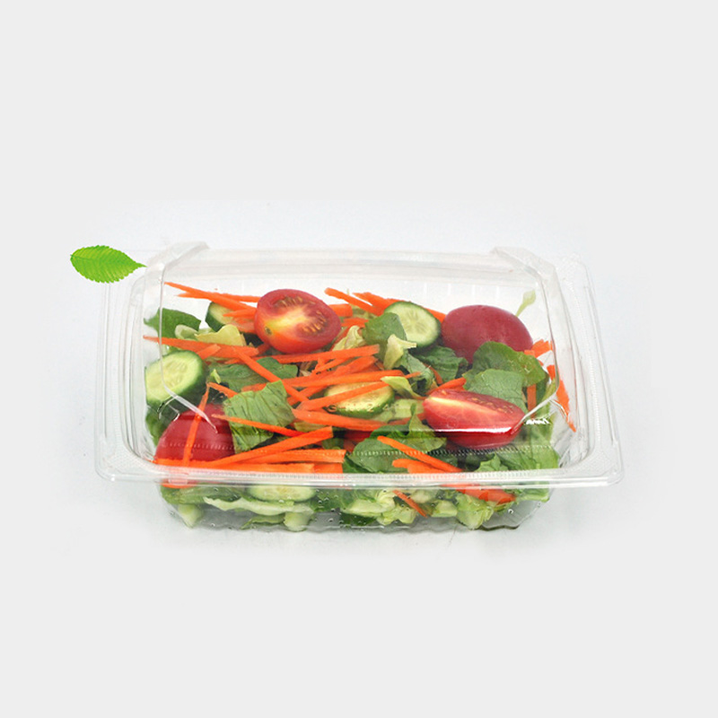 HSQY 9,1 x 7,3 x 2,6 Zoll transparent rechteckeg PET-Plastik-Salatschüsselbehälter mat Deckel